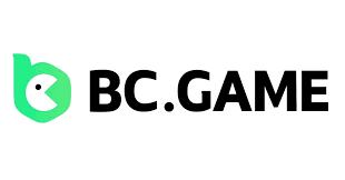 Understanding BC.Game Payments A Comprehensive Guide 2016469533